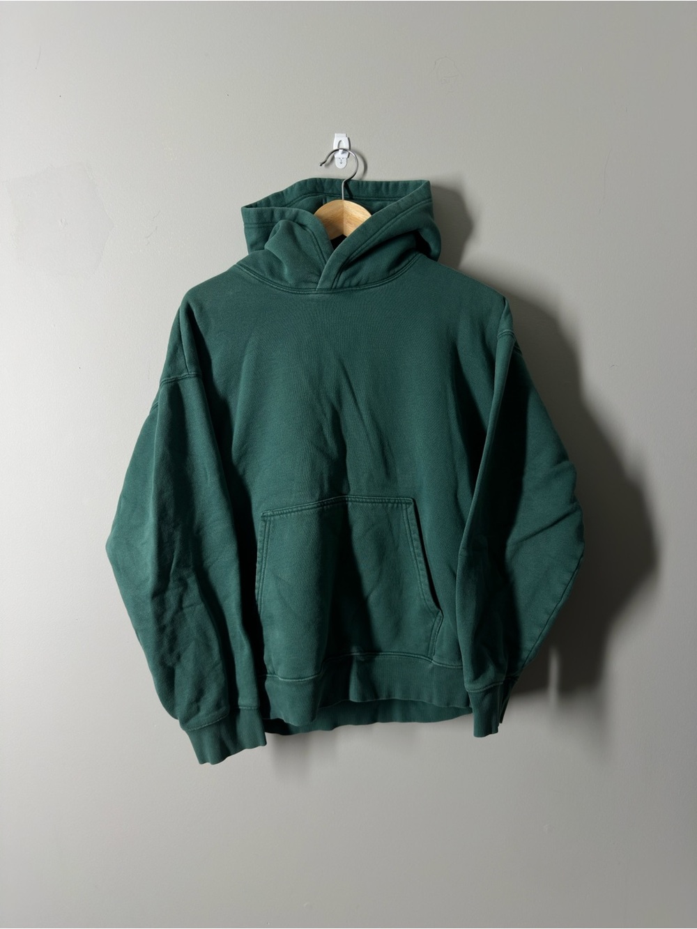 TNA Aritzia Cozy Hoodie